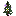 Purple Flowering Spruce Sapling