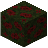 Quintuple Compacted Poppy Block