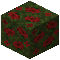 Triple Compacted Poppy Block