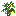 White Flowering Oak Sapling