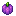 Purple Bell Pepper