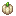 White Bell Pepper