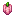 Roasted Pink Bell Pepper