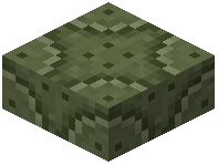 Green Reinforced Wall Slab