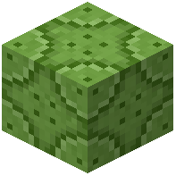 Lime Reinforced Wall