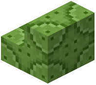 Lime Reinforced Wall Stairs