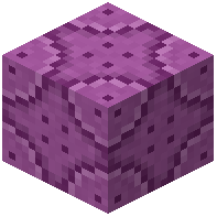 Magenta Reinforced Wall