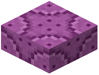 Magenta Reinforced Wall Slab