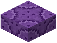 Purple Reinforced Wall Slab