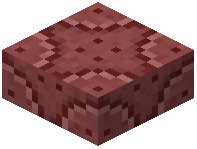 Red Reinforced Wall Slab