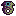 Raw Holefish
