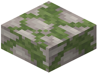 Mossy Dolostone Slab