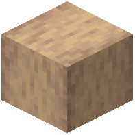 Stripped Ginkgo Wood