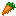 Fermented Carrot