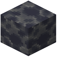 Petrified Meteorite