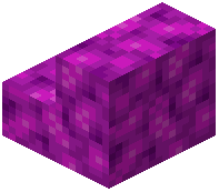 Bubble Coral Block Stairs