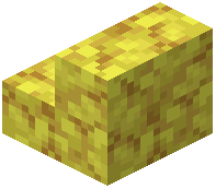 Horn Coral Block Stairs