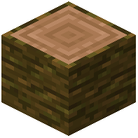 Falling Jungle Log