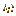 Ginger Seeds