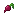 Radish