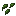Spinach