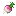 Turnip