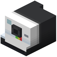 Camera Head