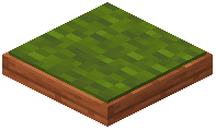 Green Acacia Cushion