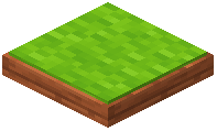 Lime Acacia Cushion