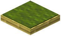Green Bamboo Cushion