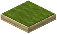 Green Birch Cushion