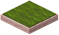 Green Cherry Cushion