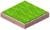 Lime Cherry Cushion
