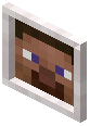 Pale Oak Steve Draw