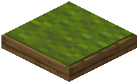 Green Spruce Cushion