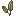 Elves Ear