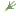 Leek