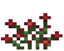 Red Mountain Flower