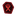 Rune of Bloodlust