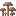 Brown Mushroom Colony