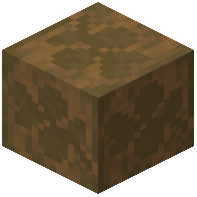 Carved Spruce Wood