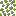 Duckweed