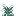 Large Snow Fern