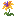 Luminous Flower