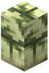 Mossy End Stone Brick Wall