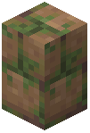 Mossy Mud Brick Wall
