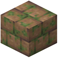 Mossy Mud Bricks