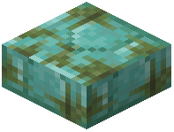 Mossy Prismarine Brick Slab