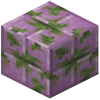 Mossy Purpur Block