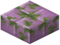 Mossy Purpur Block Slab